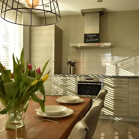 Modern Near Schoorl And Villa Schoorldam