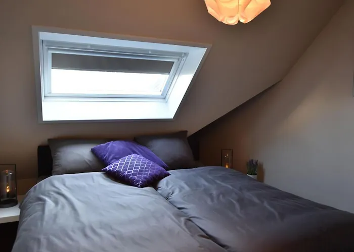 Modern Near Schoorl And * Schoorldam