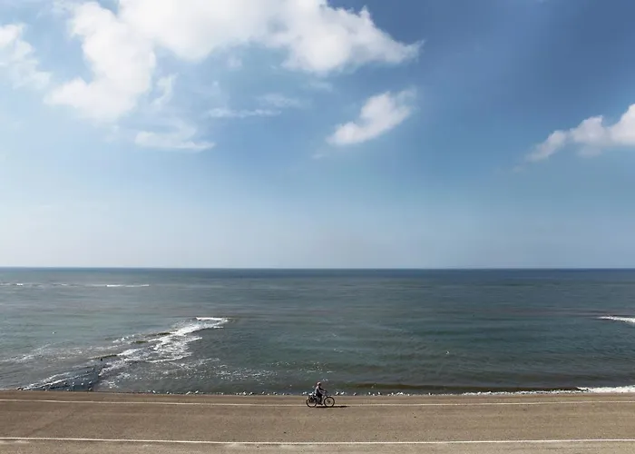 Modern Near Schoorl And