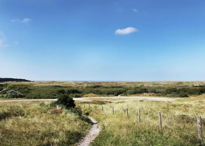 Modern Near Schoorl And *